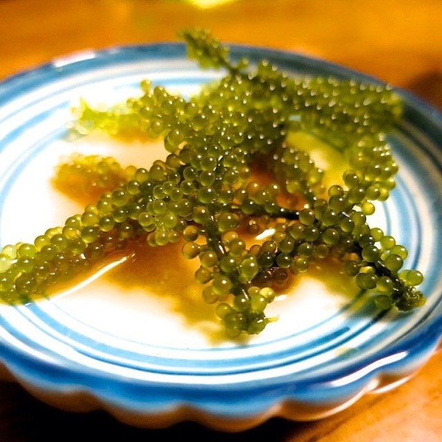 algae in japanese